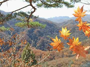 長(zhǎng)樂(lè)市人事任免大揭秘，幣安幣價(jià)格走勢(shì)背后的深層邏輯分析