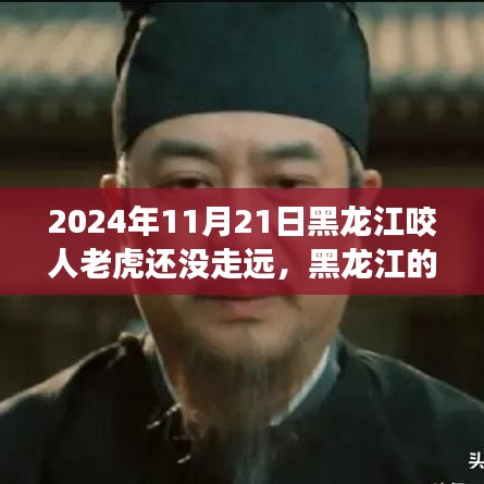 黑龍江猛虎事件啟示錄，與老虎共舞的日子與自我成長(zhǎng)之路