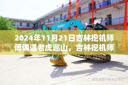 吉林挖機(jī)師傅偶遇老虎巡山，人與自然的意外相遇