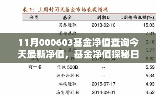今日揭曉，11月000603基金凈值探秘，友情與家庭溫暖相伴的溫馨凈值報(bào)告