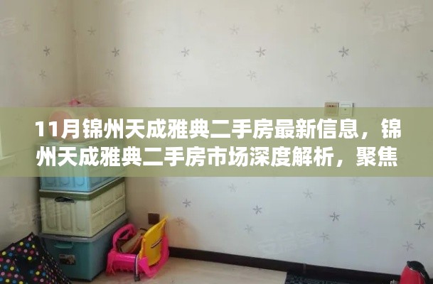 11月錦州天成雅典二手房最新信息，錦州天成雅典二手房市場深度解析，聚焦十一月最新動態(tài)