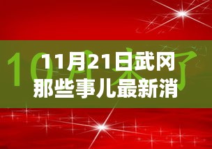 11月21日武岡那些事兒最新消息，武岡日常趣事，11月21日的溫暖瞬間