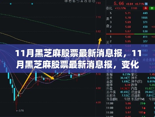 11月黑芝麻股票最新動態(tài)，變化中的學習之路，成就感的源泉，攜手共創(chuàng)成功未來