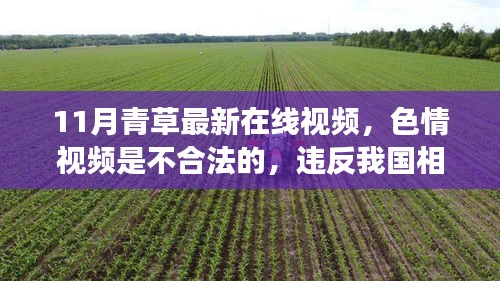 警惕色情風(fēng)險，遠(yuǎn)離非法內(nèi)容，拒絕11月青草最新在線視頻