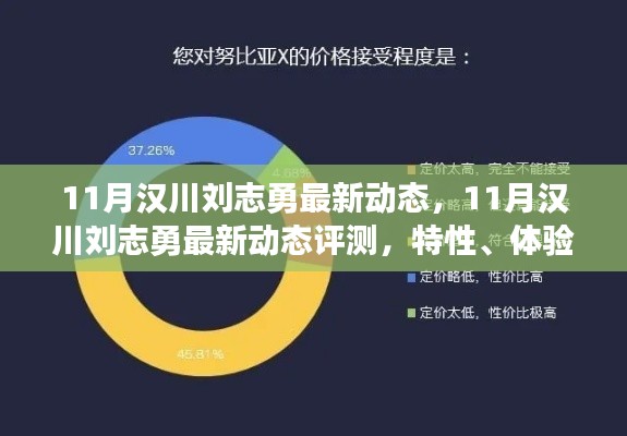 漢川劉志勇最新動(dòng)態(tài)評(píng)測(cè)，特性、體驗(yàn)、競(jìng)爭(zhēng)分析與用戶洞察深度解析