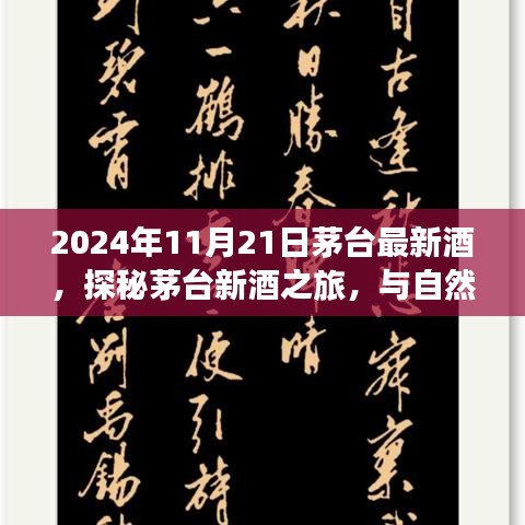 2024年11月21日茅臺最新酒，探秘茅臺新酒之旅，與自然美景共舞的日子