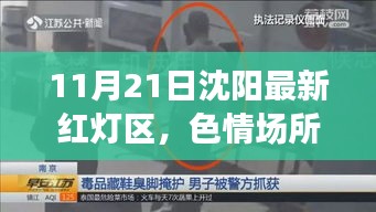 沈陽最新非法色情場所警示，紅燈區(qū)活動違反法律法規(guī)和社會道德規(guī)范