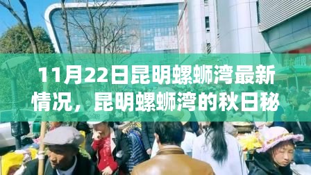 昆明螺螄灣秋日秘境探秘，11月22日最新情況與內心平靜的旅行記