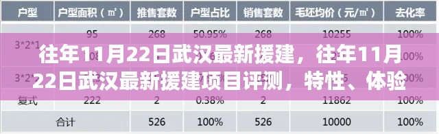 往年11月22日武漢援建項(xiàng)目深度解析，特性、體驗(yàn)、競(jìng)品對(duì)比及用戶(hù)群體分析