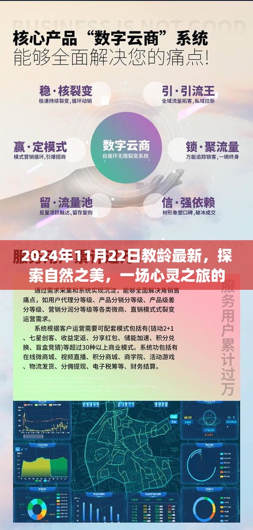 探索自然之美，開(kāi)啟心靈之旅的啟程——紀(jì)念教齡新篇章