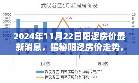 陽(yáng)邏房?jī)r(jià)最新動(dòng)態(tài)，深度分析走勢(shì)與揭秘最新消息（2024年11月22日）