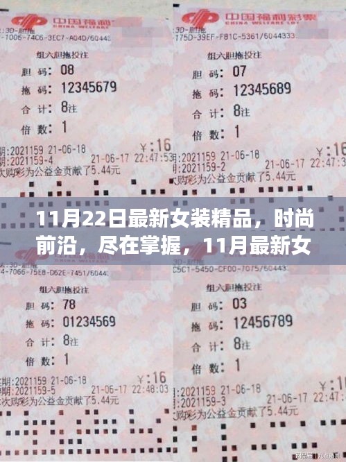 11月最新女裝精品，時(shí)尚前沿的深度評(píng)測(cè)與介紹