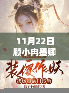 顧小冉與墨卿的奇妙相遇揭秘，最新章節(jié)揭曉于11月22日
