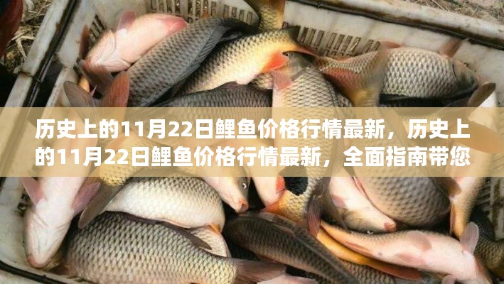 歷史上的11月22日鯉魚(yú)價(jià)格行情回顧與最新走勢(shì)全面指南，了解鯉魚(yú)市場(chǎng)的動(dòng)態(tài)變化