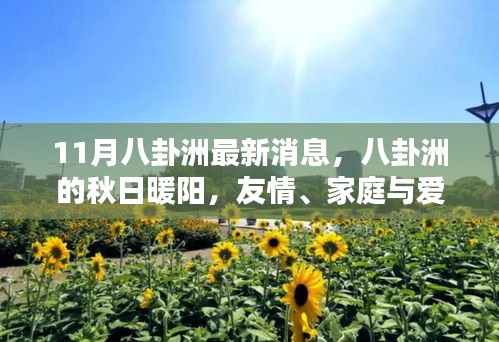 八卦洲秋日暖陽，友情、家庭與愛的溫馨日常最新消息