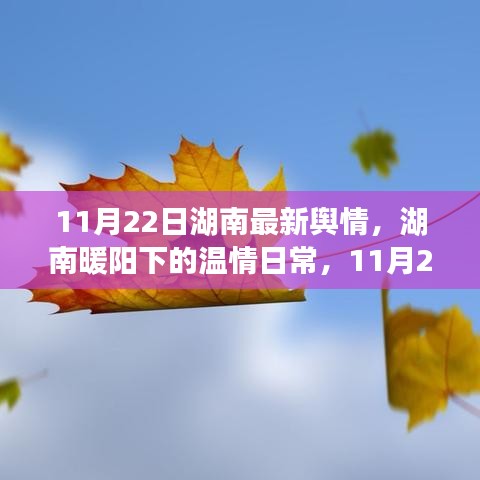 湖南溫情日常，城市輕語與友情漣漪（11月22日最新輿情）