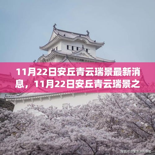 11月22日安丘青云瑞景之旅，探尋自然之美，擁抱內(nèi)心寧?kù)o