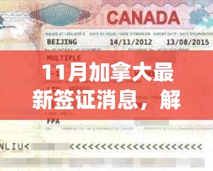 解讀最新加拿大簽證政策動向，多元觀點下的11月簽證消息分析