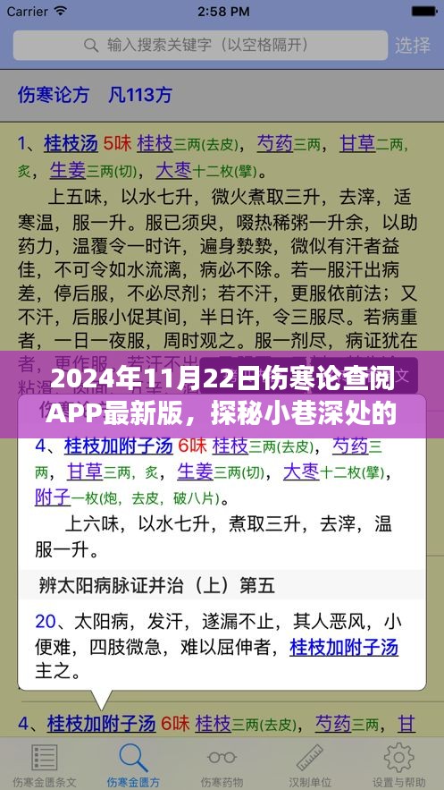 探秘小巷深處的傷寒秘境，體驗(yàn)最新版?zhèn)摬殚咥PP的奇妙之旅