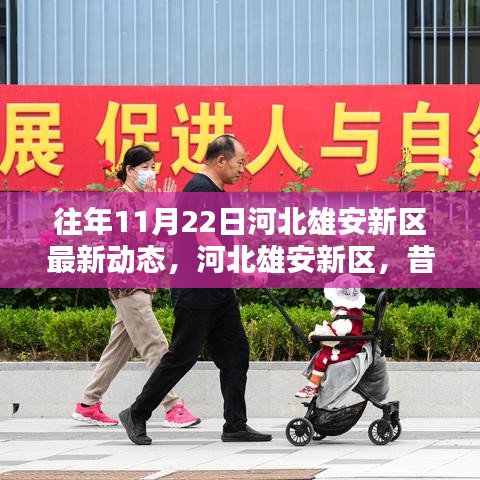 河北雄安新區(qū)歷年11月22日最新動態(tài)，昔日藍圖成現(xiàn)實進展探析