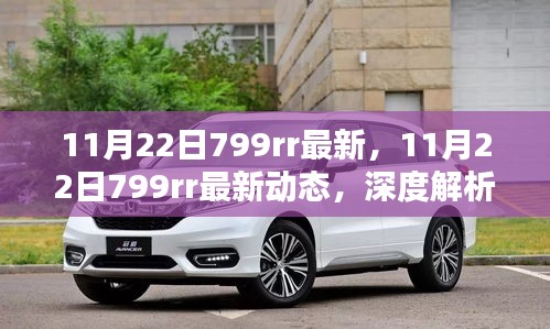 深度解析，最新動態(tài)下的799rr觀點(diǎn)探討