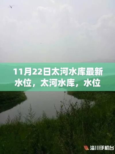 太河水庫水位最新動態(tài)，水位變遷與生態(tài)影響的紀(jì)實(shí)