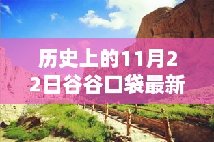 谷谷口袋最新版革新之路，歷史上的11月22日回顧
