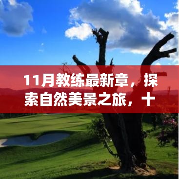 十一月教練帶你探索自然美景，尋找內(nèi)心的寧靜與平和之旅