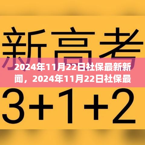 2024年11月22日社保動(dòng)態(tài)更新，改革進(jìn)展與未來(lái)展望