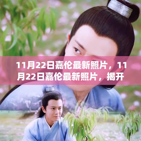 11月22日嘉倫最新照片，11月22日嘉倫最新照片，揭開魅力男神背后的故事