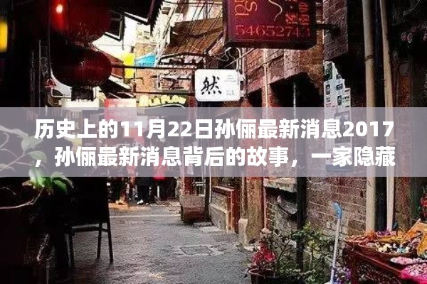 孫儷最新消息揭秘，特色小店探秘背后的故事，2017年11月22日歷史回顧