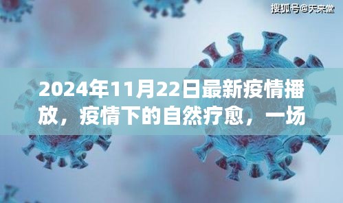 2024年11月22日最新疫情播放，疫情下的自然療愈，一場尋找內(nèi)心平靜的奇妙旅行，2024年11月22日的美麗新世界