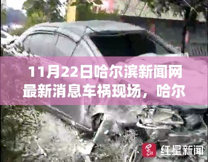 哈爾濱車禍現(xiàn)場(chǎng)最新消息及深度解析（附要點(diǎn)討論）