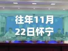 往年11月22日懷寧案件深度剖析與觀點闡述，最新案例分析報告