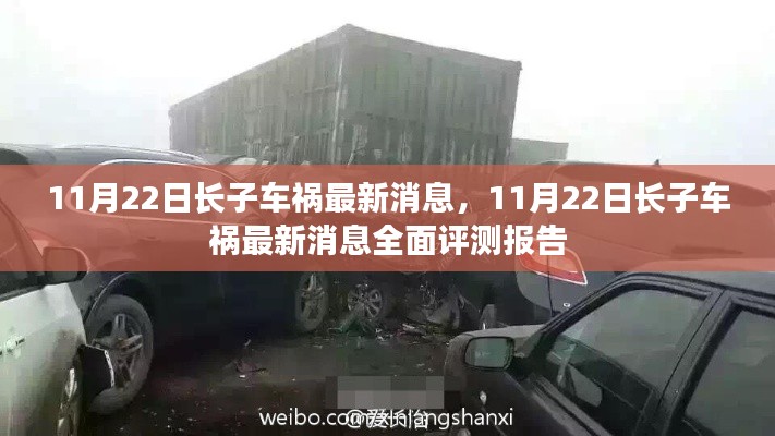 11月22日長(zhǎng)子車禍最新消息全面更新與評(píng)測(cè)報(bào)告