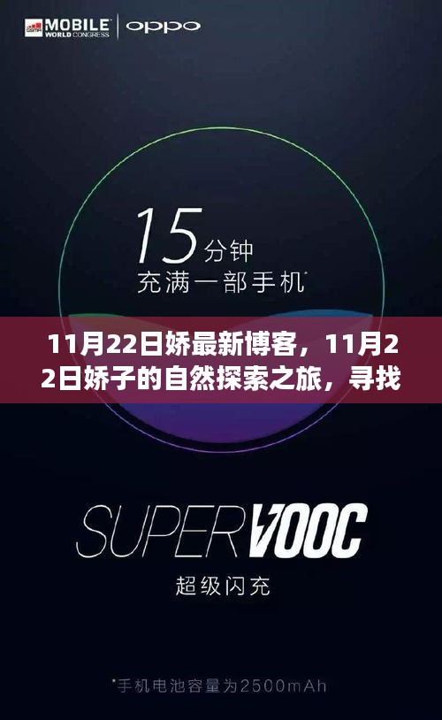 嬌子心靈之旅，探尋自然靜謐角落的博客分享