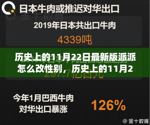 最新版派派社交軟件性別修改步驟詳解，歷史上的11月22日指南
