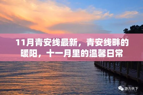 青安線畔的暖陽，十一月溫馨日常