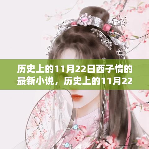 探尋歷史11月22日西子情最新小說的深意與魅力，故事背后的故事與情感之旅