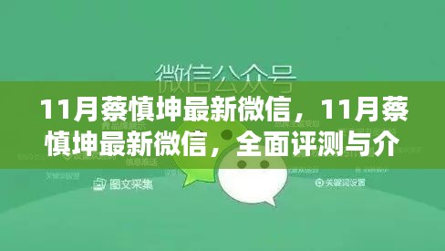 蔡慎坤最新微信評(píng)測(cè)與介紹，全面解讀十一月最新動(dòng)態(tài)