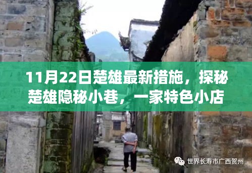探秘楚雄隱秘小巷，特色小店背后的故事，新篇章開啟于11月22日楚雄最新措施