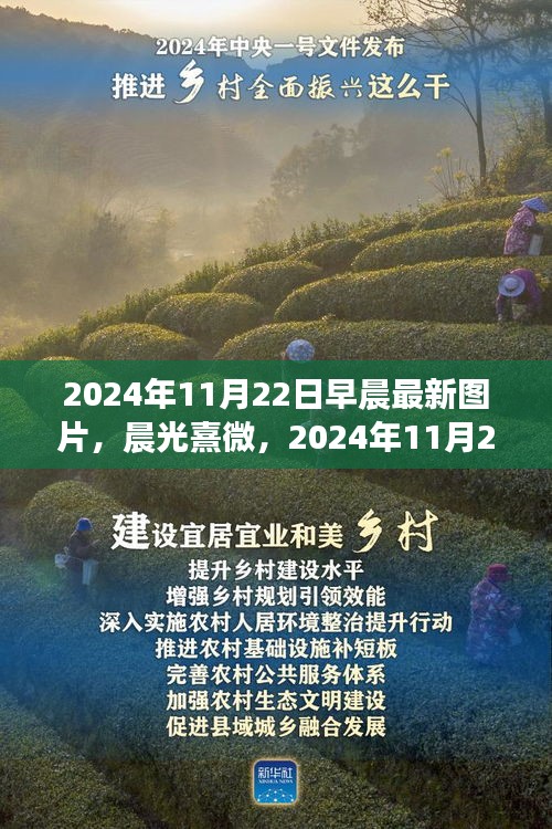 晨光熹微，探索早晨圖片的誕生與影響