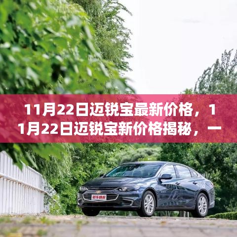 11月22日邁銳寶新價(jià)格揭秘，自然美景下的心靈之旅