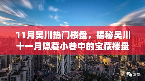 吳川十一月探秘之旅，寶藏樓盤與獨特小店的不期而遇