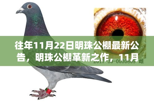 明珠公棚革新之作揭秘，高科技公棚新紀(jì)元功能與超凡體驗(yàn)發(fā)布新公告
