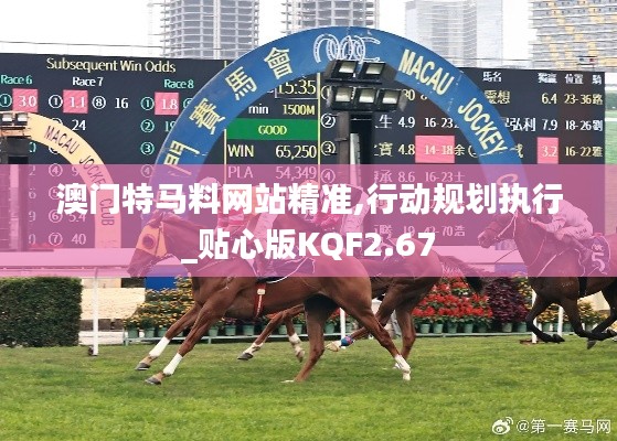 澳門特馬料網(wǎng)站精準(zhǔn),行動規(guī)劃執(zhí)行_貼心版KQF2.67