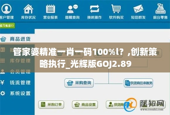管家婆精準(zhǔn)一肖一碼100%l？,創(chuàng)新策略執(zhí)行_光輝版GOJ2.89