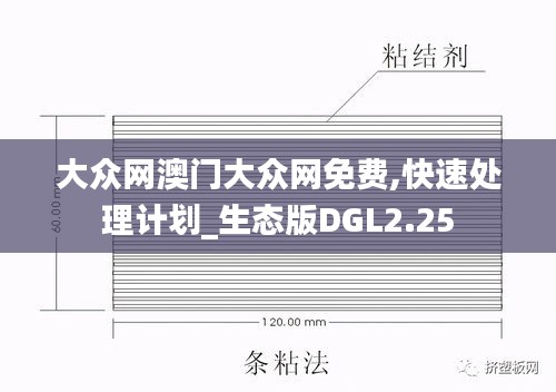大眾網(wǎng)澳門大眾網(wǎng)免費(fèi),快速處理計(jì)劃_生態(tài)版DGL2.25