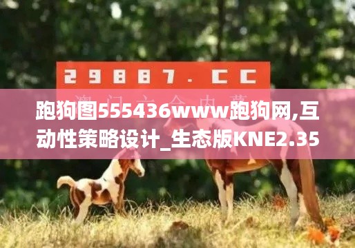 跑狗圖555436www跑狗網(wǎng),互動性策略設(shè)計_生態(tài)版KNE2.35