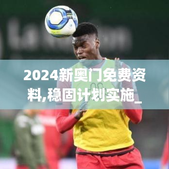 2024新奧門免費資料,穩(wěn)固計劃實施_探索版NTI2.36